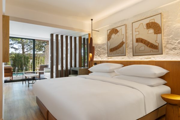 NAVAK_DPOL_Swim_Up_Suite_2